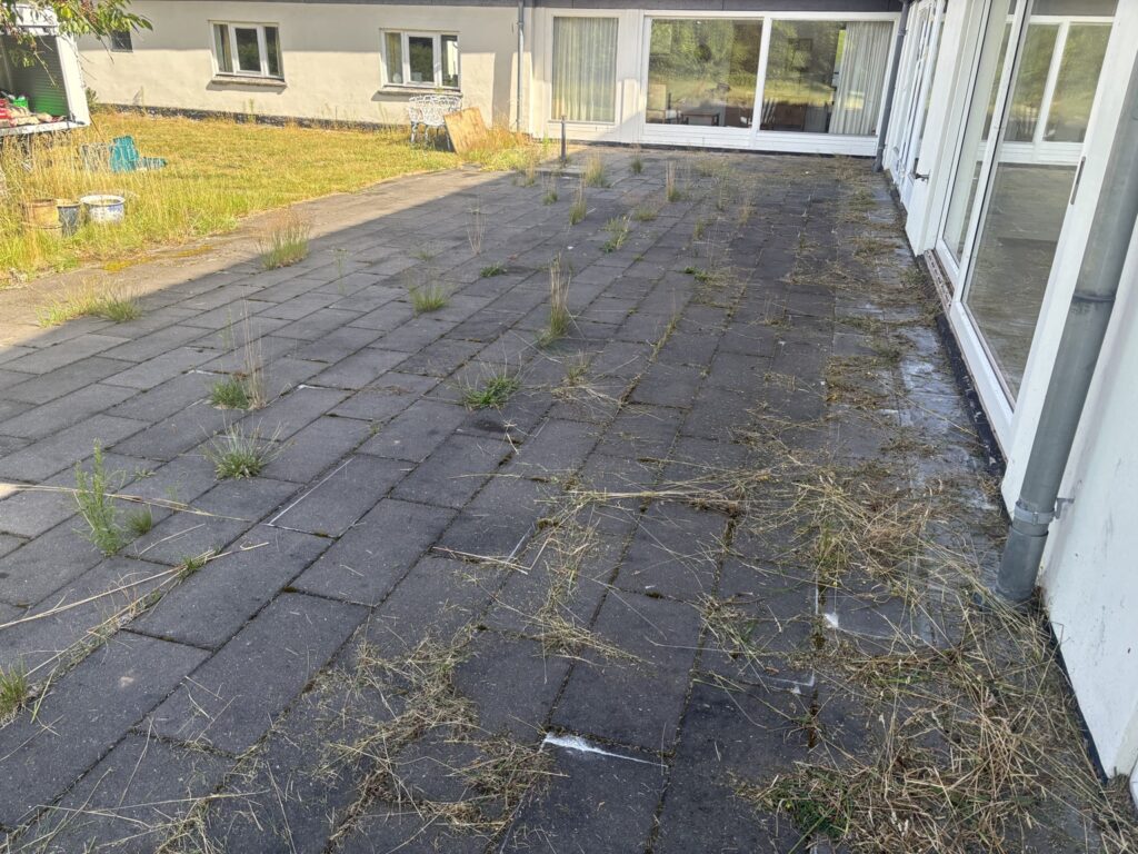 Fliseareal med kraftigt ukrudt før ukrudtsfjernelse udført af LamaFixit